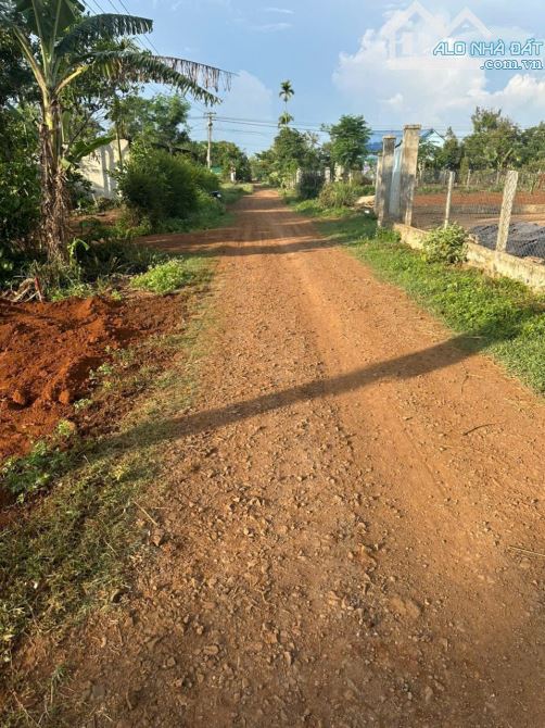 Chân dài Cuor Đăng A 5x50 tc 60 chỉ 499tr