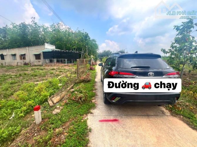 Cần bán gấp 7m mặt tiền đường be tông , có 100tc dân đông giá cưc rẻ 565tr
