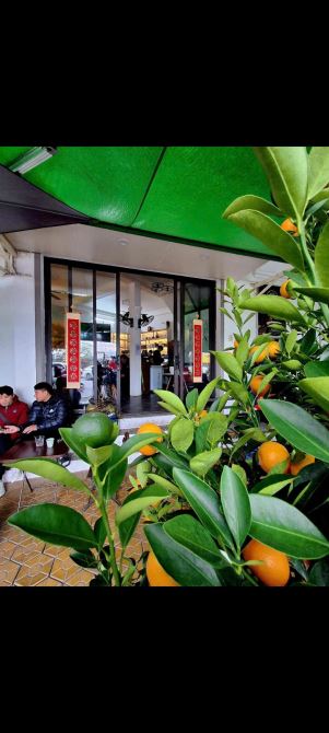 Bán Nhà Tây Trà Hoàng Mai  Vị Trí Đắc Địa Bên Hồ Lô Góc 3 Thoáng Ô Tô Tránh 48m 23 Tỷ (TL)