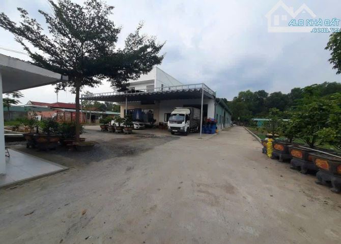 BÁN LÔ ĐẤT 4.638M MẶT TIỀN ĐƯỜNG THANH NIÊN – TẶNG XƯỞNG
