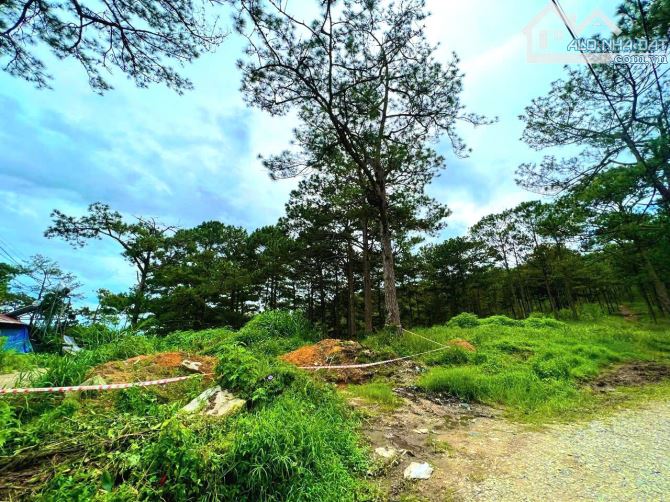 Bán đất view đẹp sát rừng thông gần cáp treo Đà Lạt, cách bến xe Đà Lạt chỉ 700m