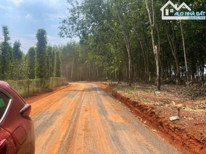Chỉ 300 triệu !! Ngang 16 sâu 66. Đất view suối - 1