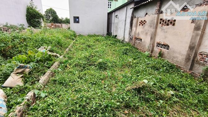 thôn Tằng My. sát bìa làng. cách VĐ3 chỉ 400m. full thổ. 55tr/m2 - 5