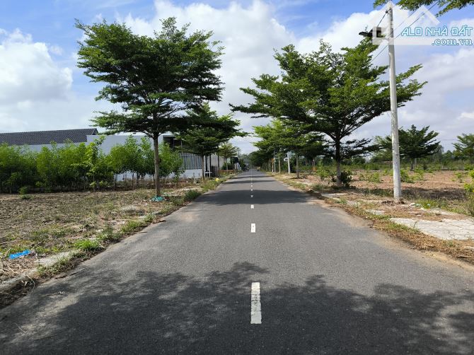 Bán 270m2 thổ cư gần chợ Trảng Cát, Hắc Dịch - 4