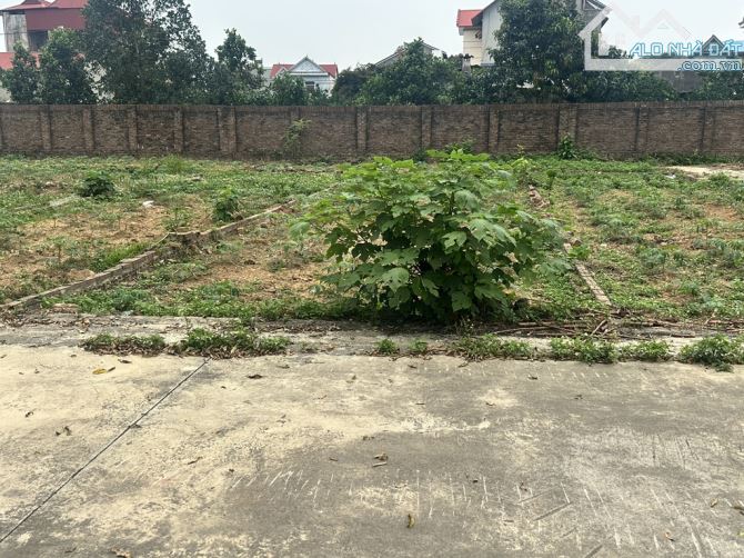 Cộng hòa _ Phù Ninh _ Sóc Sơn gần Lô Góc - 1