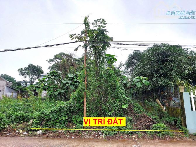 Đất mặt tiền Thu Bồn, Thủy Xuân, khổ đẹp, giá tốt 2,2 tỷ thương lượng.!‼️ - 1