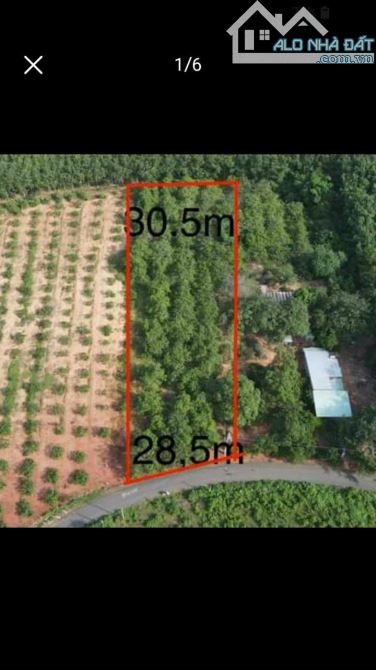 BÁN 3500M2 ĐẤT VƯỜN PHƯỚC TÂN, XUYÊN MỘC, BÀ RỊA VŨNG TÀU, GIÁ 750TR/SAO, ĐẤT PHỦ HỒNG - 1