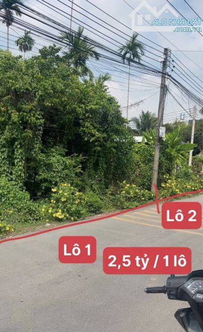 1 cặp đất ngang tổng 10m, mặt tiền đường An Sơn 01, Gần Sông Sài Gòn - 1