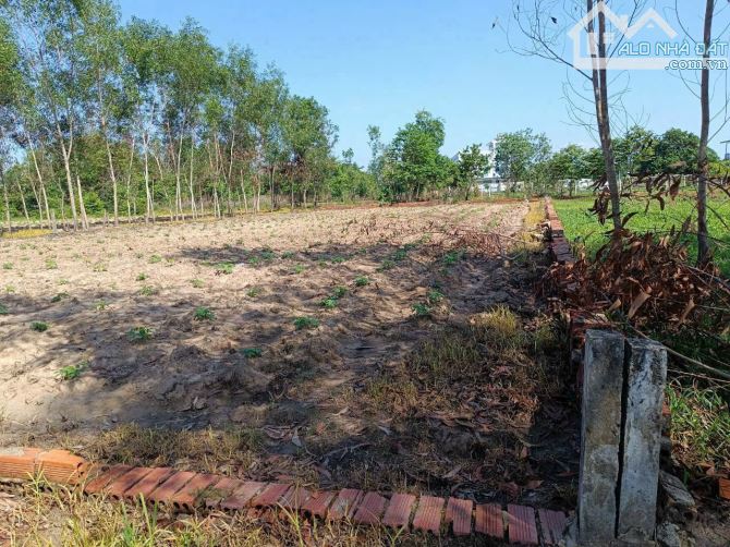 BÁN GẤP đất thổ Nhơn Trạch sát vành đai 3, 25C,oto,giá rẻ 3,2tr/m. SR chính chủ.GỌI NGAY - 1