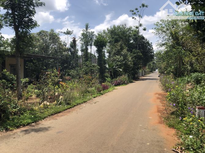 Đất Quảng Thành- Châu Đức.dt:7600m2- góc 2 mặt tiền nhựa- tổng 176m mặt tiền-200 thổ cư - 1