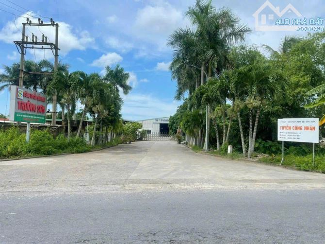 100m2 mặt đường 402 Tư Thủy 3ty080tr - 1