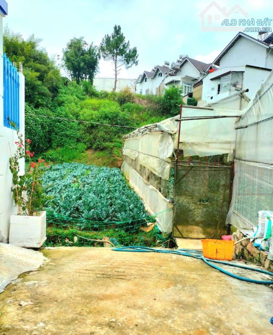 Bán đất ngộp khu dân cư hẻm xe hơi gần chợ số 6, đi Hồ Xuân Hương 4km - 1