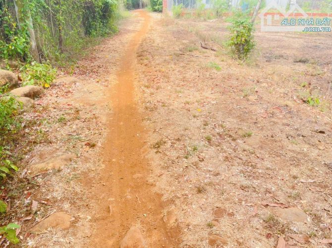 BÁN 3.000M2 50X70M XÃ LONG TÂN ,LONG ĐẤT . Cách nhựa hồ lồ ô chỉ 100m - 1