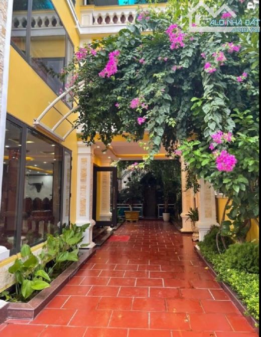 Biệt Thự/ 38 Tỷ /326 M2/ 18 M tiền/Hoa Bằng Lăng . Mê Linh . - 1