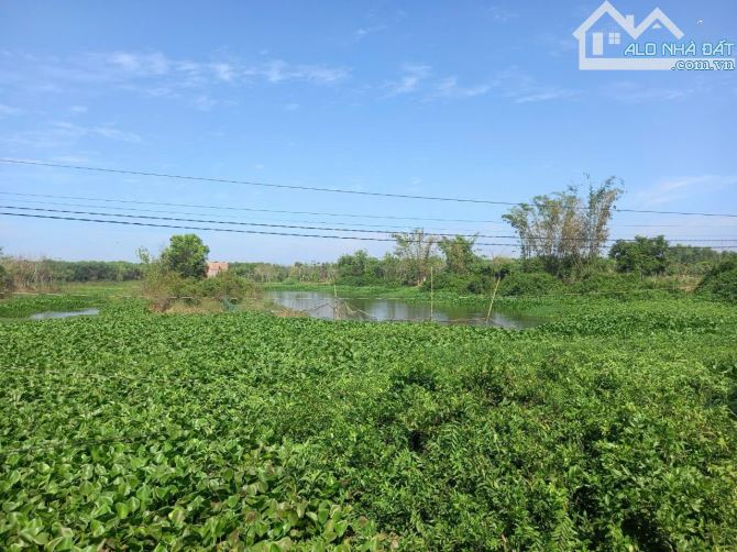 Bán 150.000m2 đất ven hồ Trị An(khai thác du lịch ) chỉ 29.5tỉ . - 1