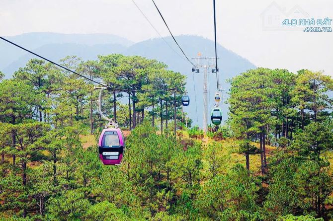 Bán đất view đẹp sát rừng thông gần cáp treo Đà Lạt, cách bến xe Đà Lạt chỉ 700m - 1