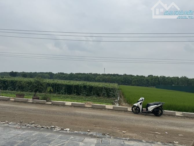 SƠN DU Bán 71m Nguyên Khê Đông Anh Mặt tiền 4,2m nở hậu Thửa Đất siêu đẹp 2 thoáng - 1