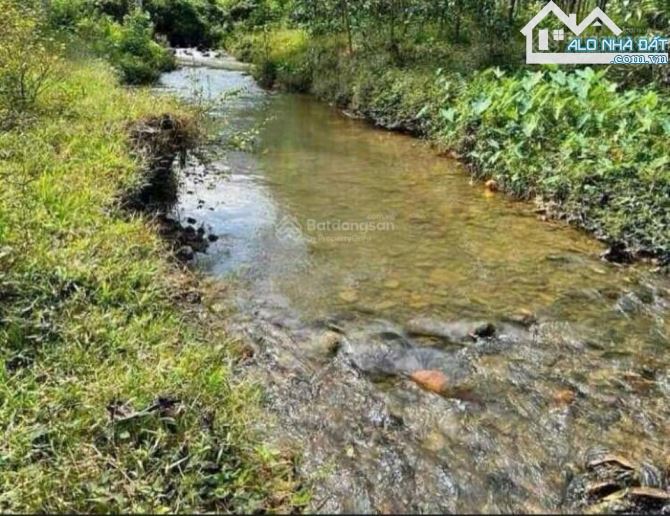 Chỉ 300 triệu !! Ngang 16 sâu 66. Đất view suối - 2