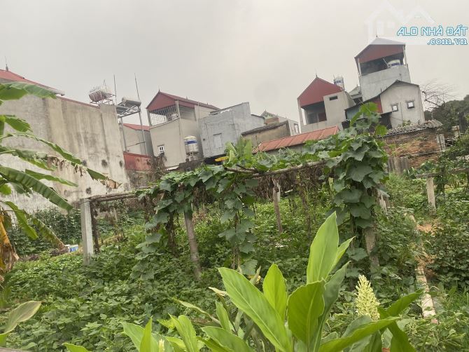 Bán nhanh lô đất diện tích rộng 121m full thổ cư  thoáng trước sau - 2