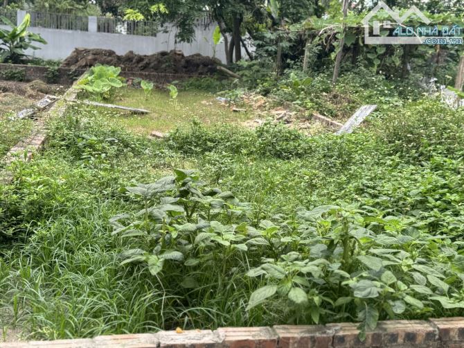 BÁN ĐẤT NGỌC CHI - VĨNH NGỌC CÁCH CẦU NHẬT TÂN 100M - Ô TÔ TRÁNH, DỪNG ĐỖ NGÀY ĐÊM - 2