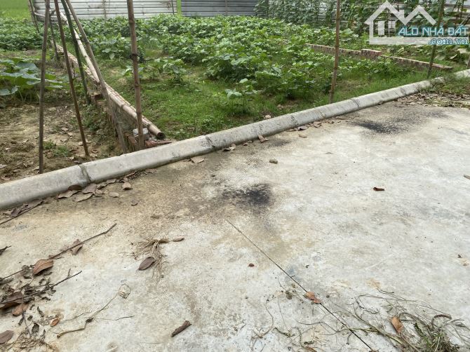 Bán đất 58m² tại thôn Đồng Lạc, Tiên Dược, Sóc Sơn, Hà Nội. Giá: 1.85 tỷ - 2