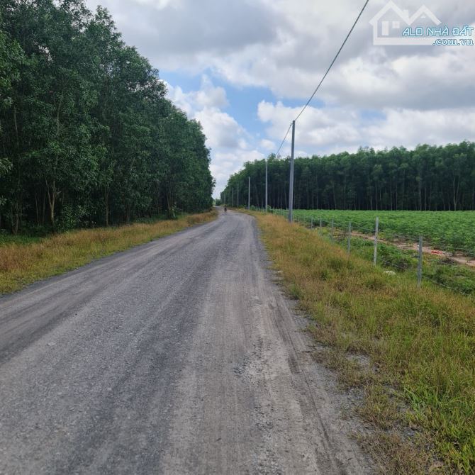 Bán 1500m2 đất 3 mặt tiền Lê Hồng Phong, Nhơn Trạch giá ngộp 7,7tỷ. - 2