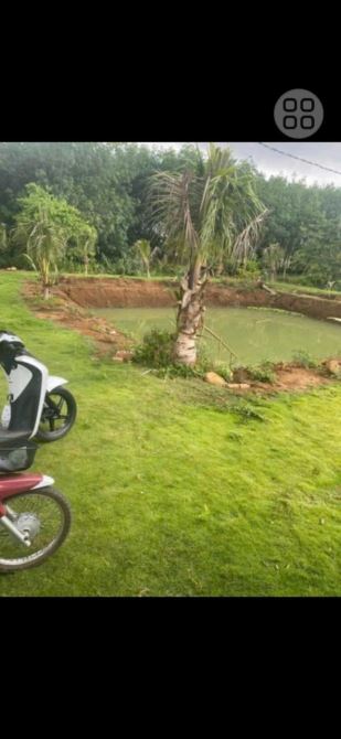 BÁN 7.8 SÀO XUÂN SƠN CHÂU ĐỨC, BÀ RỊA VŨNG TÀU, VIEW SUỐI,  GIÁ 650TR/S, ĐƯỜNG NHỰA - 2