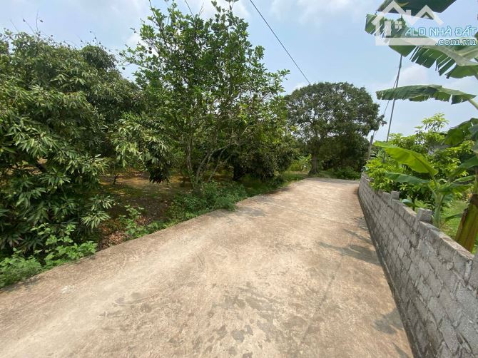 bán đất tại Xã Thanh Hồng, Thanh hà, Hải Dương, giá rẻ 175m ô tô chỉ 5.2 tỷ. - 2