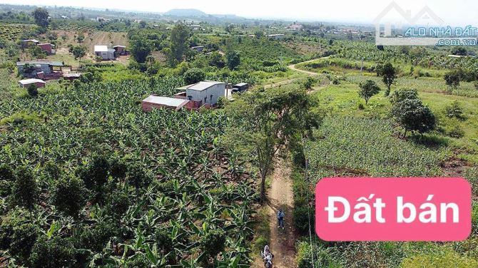 ❌SIÊU RẺ_Ngay KHU DÂN CƯ CHỈ 109 TRIỆU/lô 585m2_ngang 12m_Qh. ODT_SHR (Xuân Phú - Ea Kar) - 1
