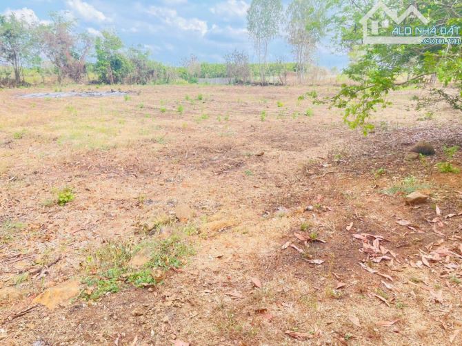 BÁN 3.000M2 50X70M XÃ LONG TÂN ,LONG ĐẤT . Cách nhựa hồ lồ ô chỉ 100m - 2