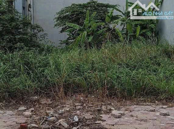 Pán lô đất mặt Ngô Quyền nhìn sang trường Chuyên Kinh Bắc,TP Bắc Ninh. Giá 8,x tỷ - 2