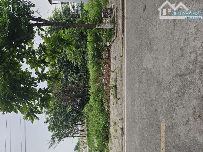 CỰC SỐC RẺ  3,7TỶ GẦN 100M2 - 5M KĐT PHÚ ĐIỀN HƯƠNG MẠC TỪ SƠN - 2