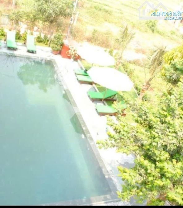 🌲💥🌲  VILLA LƯU TRÚ VIEW SÔNG VIEW LÀNG RAU TRÀ QUẾ DOANH THU TỐT 🌟🌟🌟 - 2