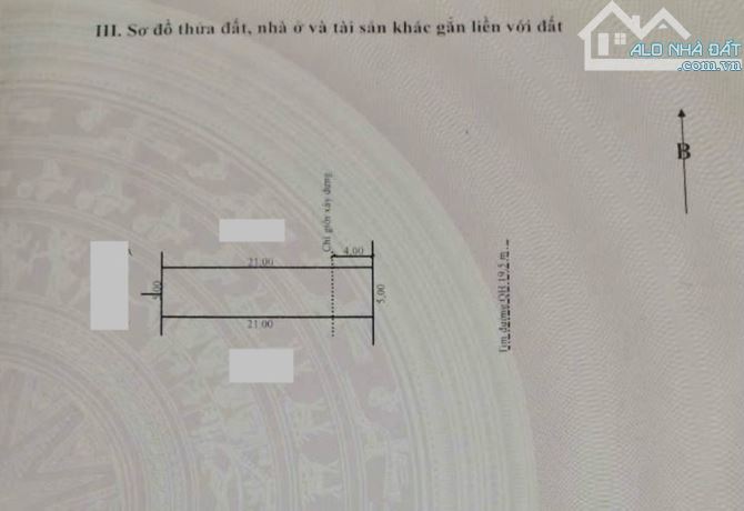 BÁN ĐẤT ĐẸP + HIẾM KHU A PHÚ MỸ THƯỢNG, ĐƯỜNG 19,5m - 3