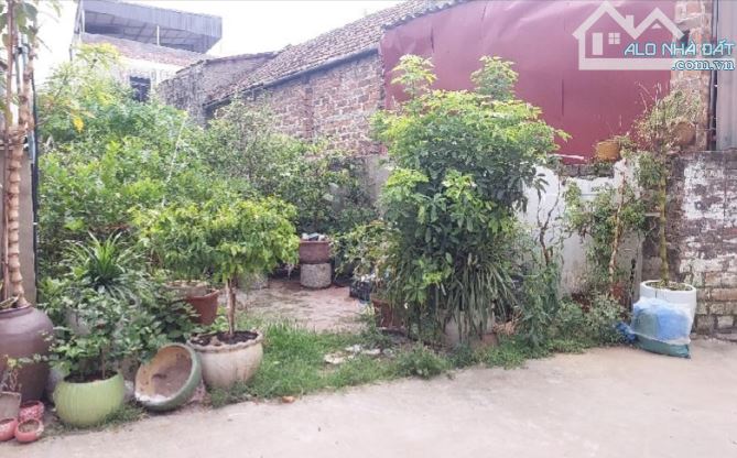 Kim Lan /119 m2/ 5 M tiền/ 5.85 Tỷ / Ô tô chánh - 3