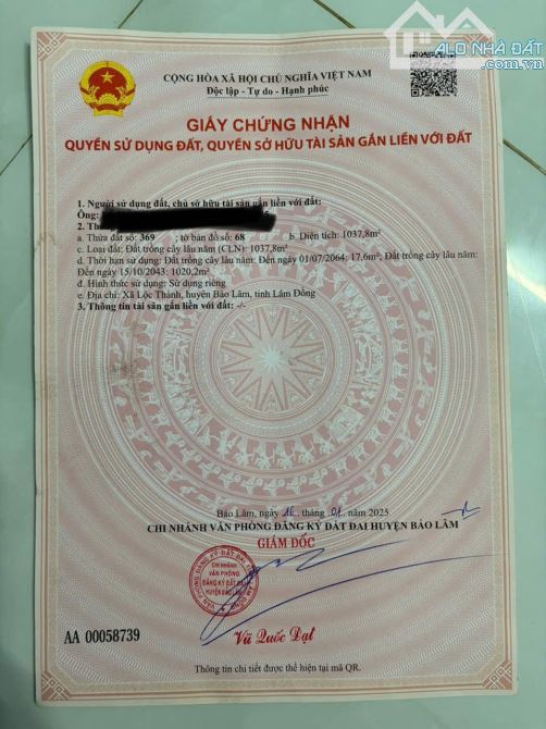 Bán vườn măng cụt cổ thụ 20 năm tuổi|| Ngay dân cư hiện hữu gần Chợ - 4