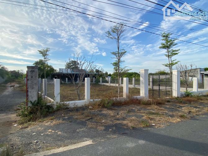 Bán đất sổ sẵn hướng đông nam ven biển Phước Hải.Diện tích 175m2- ngang 7mx 26m-80 thổ cư - 4