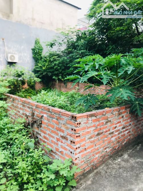Siêu phẩm Việt Hùng - Đông anh, 30m ra trục chính liên xã, 60m2 vuông vắn đẹp. - 4