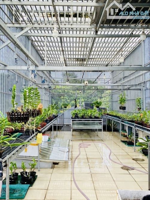 KHU PHÂN LÔ VIP GẦN SÂN BAY – NGAY DƯƠNG QUẢNG HÀM - 4.3M X 15M - 4