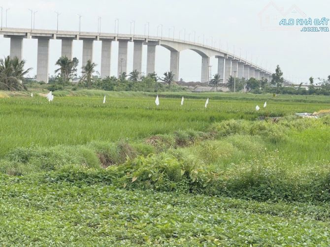 236m2 Đoàn Xá , Kiến Thụy sát cảng Nam Đồ Sơn - 4