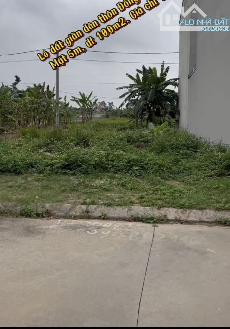 Siêu phẩm đất thổ cư trung tâm Văn Tố – 100m², ô tô tránh, vỉa hè rộng – Gần đường 391 - 5