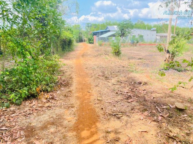 BÁN 3.000M2 50X70M XÃ LONG TÂN ,LONG ĐẤT . Cách nhựa hồ lồ ô chỉ 100m - 5