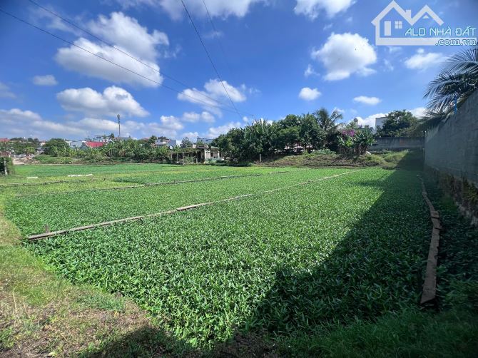 Bán 1 chiếc View xịn xò hơn 2.000m2 trong lòng thành phố.  6 phút tới ngã sáu BMT. 13,9 Tỷ - 5