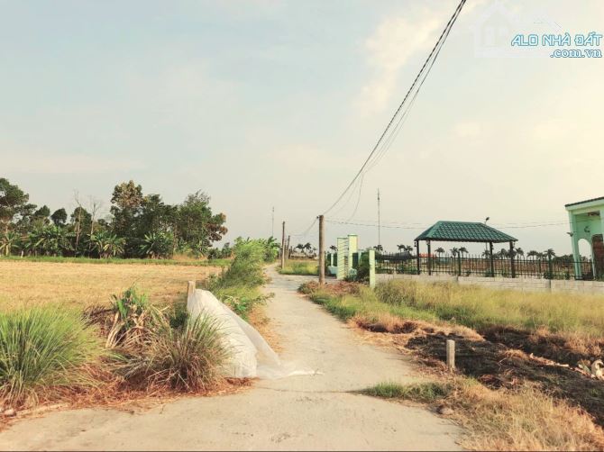 Hàng F0, 140m2 đất thổ cư đường ô tô Cầu Quay, chỉ 450tr - 6