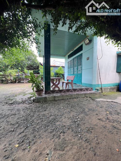 Bán lô đất 1/ đường Nguyễn Thị Lắng, Tân Phú Trung, Củ Chi, 386m2, 3,5 tỷ. - 6