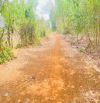 BÁN 3.000M2 50X70M XÃ LONG TÂN ,LONG ĐẤT . Cách nhựa hồ lồ ô chỉ 100m