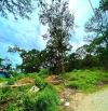 Bán đất view đẹp sát rừng thông gần cáp treo Đà Lạt, cách bến xe Đà Lạt chỉ 700m