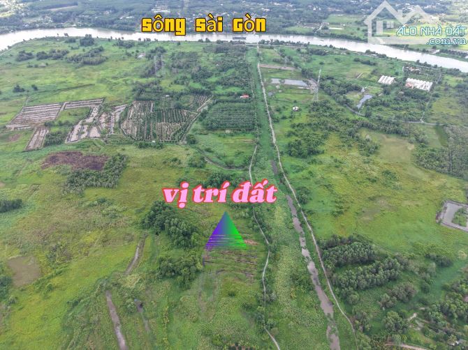 BÁN ĐẤT CÂY LÂU NĂM ĐƯỜNG Ô TÔ GẦN SÔNG SÀI GÒN GIÁ RẺ