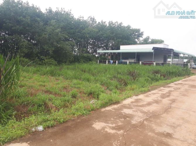 Bán 75m mặt tiền Đường bê tông, tổng 2.000m2
