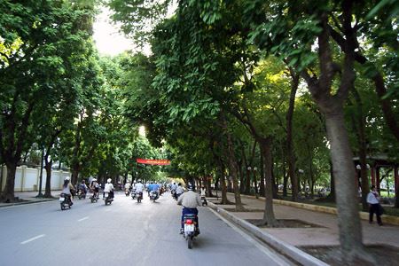 BÁN GẤP ĐẤT ĐƯỜNG TRẦN TẤN MỚI. DIỆN TÍCH KHỦNG 147M2 NGANG TO 6M